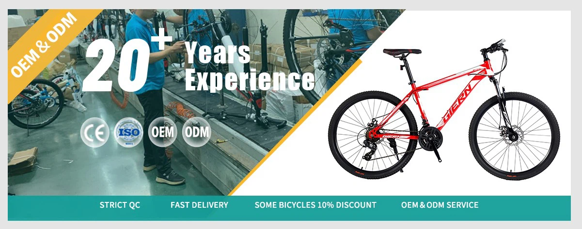 women mountain bike aluminum women mountain bike aluminum