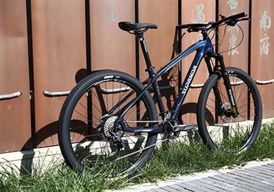 5 καλύτερες πιθανές μάρκες ποδηλάτων στην Κίνα: Προμηθευτής ποδηλάτων ποιότητ...